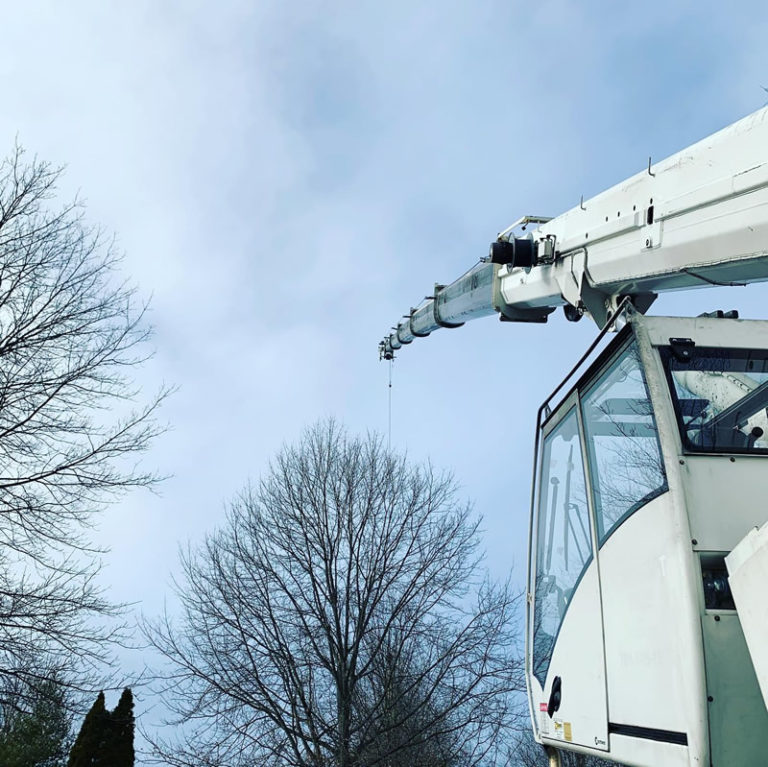 Gallery McCauley Tree & Landscaping