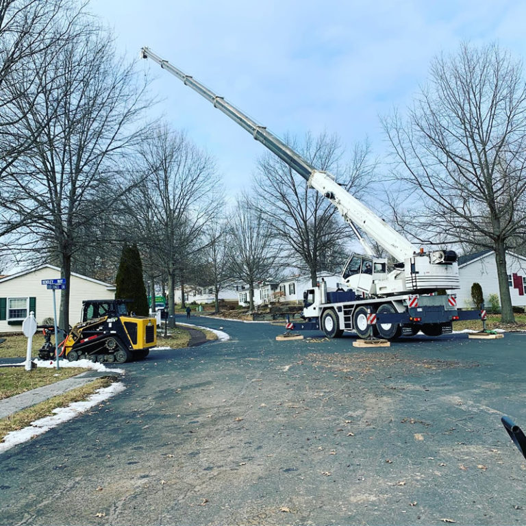 Gallery McCauley Tree & Landscaping